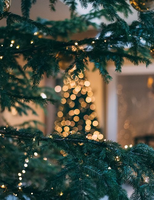 Christmas tree | Hotel Adula Flims | Christmass offering